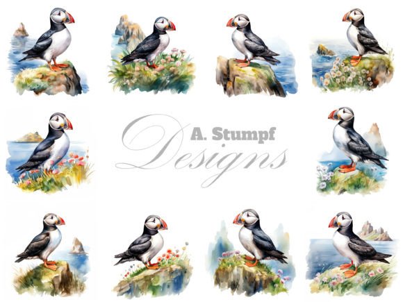 Download Atlantic Puffin Watercolor Bird Clipart - Premium Bundle