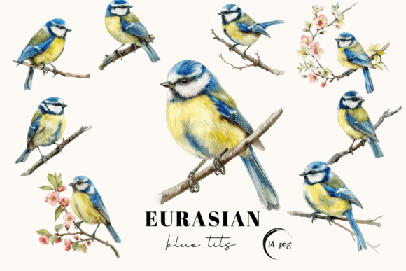 Download Blue Tit Bird Clipart, Eurasian Blue Tit - Premium Resources